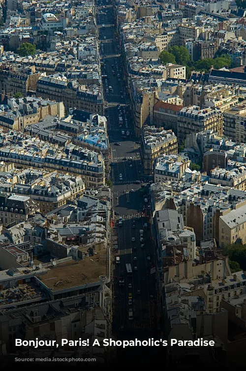 Bonjour, Paris! A Shopaholic's Paradise Awaits