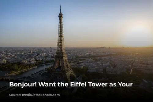 Bonjour! Want the Eiffel Tower as Your View?