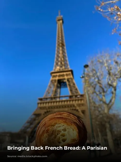 Bringing Back French Bread: A Parisian Dilemma