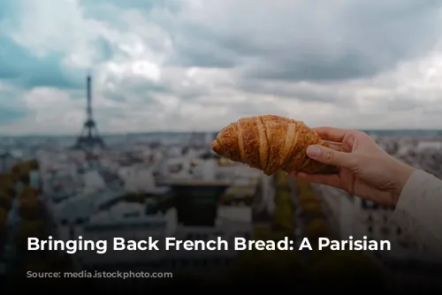 Bringing Back French Bread: A Parisian Dilemma