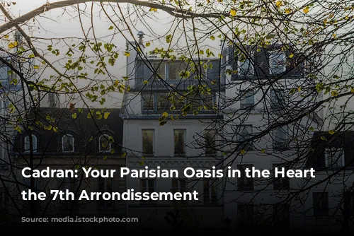 Cadran: Your Parisian Oasis in the Heart of the 7th Arrondissement