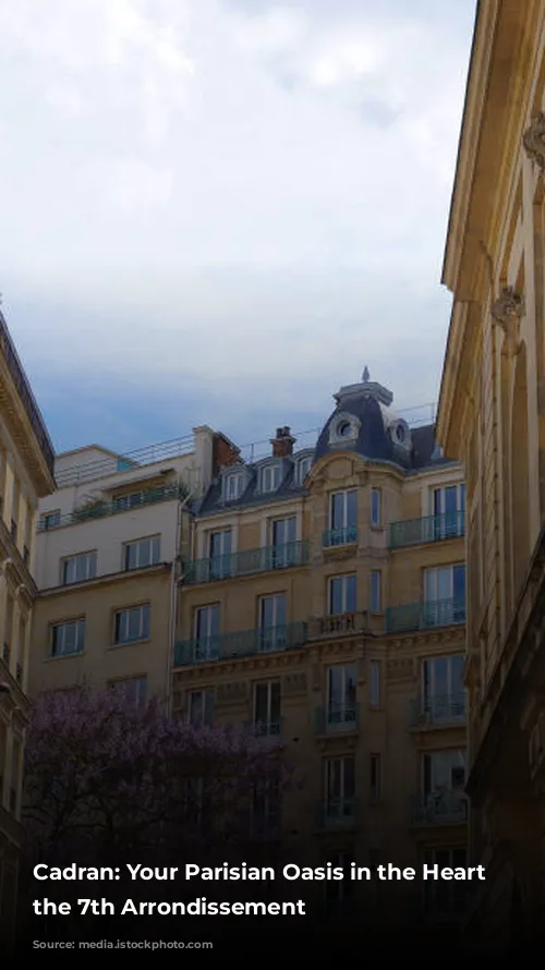 Cadran: Your Parisian Oasis in the Heart of the 7th Arrondissement