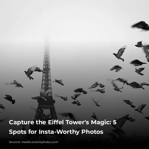 Capture the Eiffel Tower's Magic: 5 Breathtaking Spots for Insta-Worthy Photos