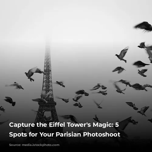 Capture the Eiffel Tower's Magic: 5 Iconic Spots for Your Parisian Photoshoot