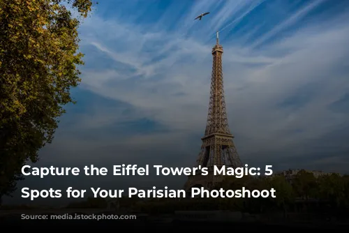 Capture the Eiffel Tower's Magic: 5 Iconic Spots for Your Parisian Photoshoot