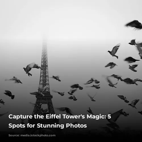 Capture the Eiffel Tower's Magic: 5 Must-Visit Spots for Stunning Photos