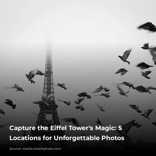 Capture the Eiffel Tower's Magic: 5 Prime Locations for Unforgettable Photos