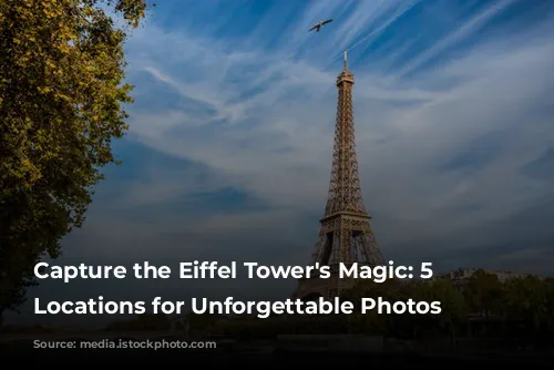 Capture the Eiffel Tower's Magic: 5 Prime Locations for Unforgettable Photos