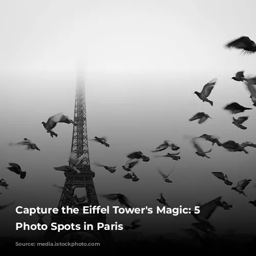 Capture the Eiffel Tower's Magic: 5 Stunning Photo Spots in Paris