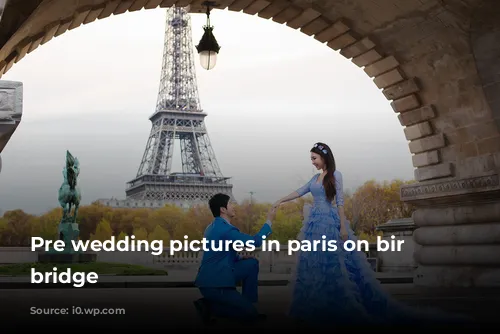 Pre wedding pictures in paris on bir hakeim bridge