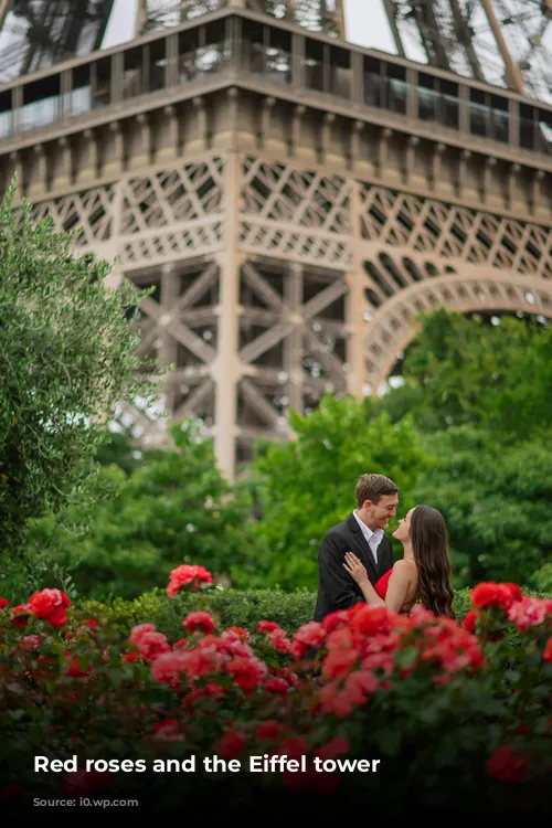 Red roses and the Eiffel tower