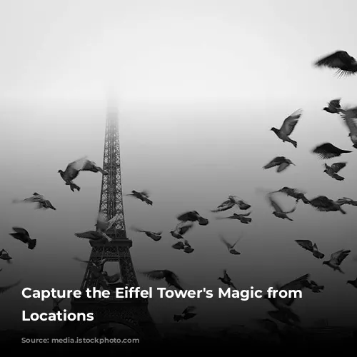 Capture the Eiffel Tower's Magic from Stunning Locations