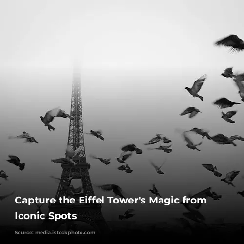 Capture the Eiffel Tower's Magic from These Iconic Spots