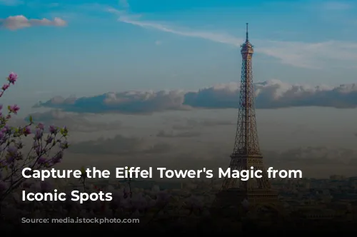 Capture the Eiffel Tower's Magic from These Iconic Spots