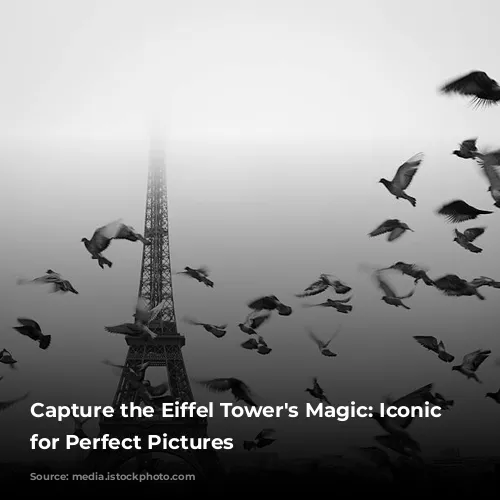 Capture the Eiffel Tower's Magic: Iconic Spots for Perfect Pictures