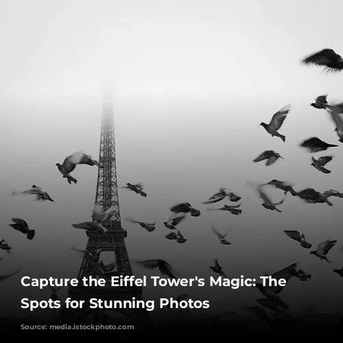 Capture the Eiffel Tower's Magic: The Best Spots for Stunning Photos