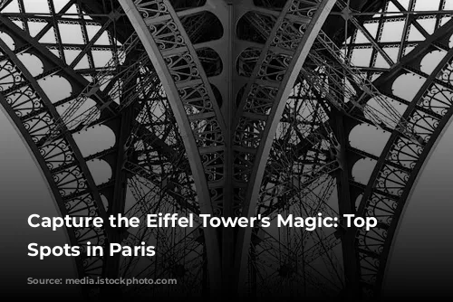 Capture the Eiffel Tower's Magic: Top Photo Spots in Paris