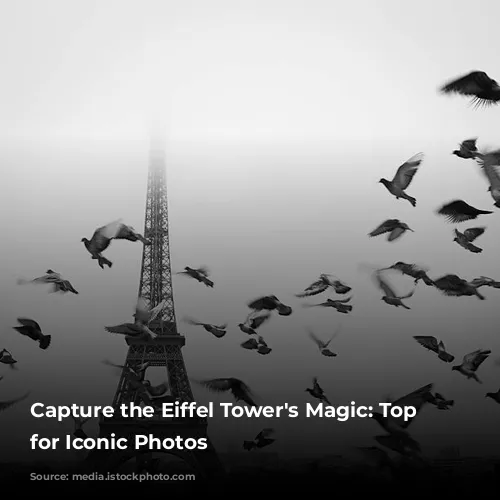 Capture the Eiffel Tower's Magic:  Top Spots for Iconic Photos