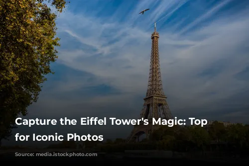 Capture the Eiffel Tower's Magic:  Top Spots for Iconic Photos