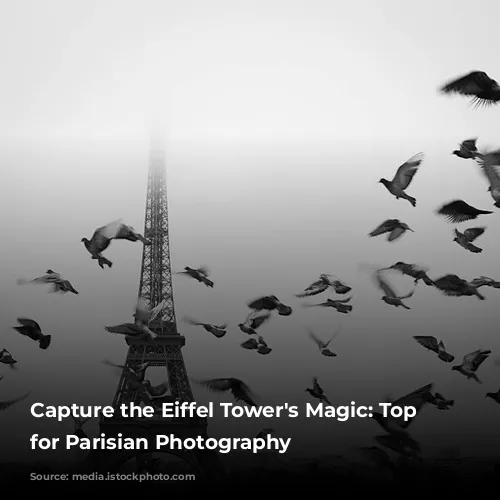 Capture the Eiffel Tower's Magic: Top Spots for Parisian Photography