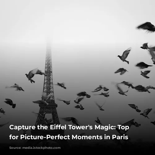 Capture the Eiffel Tower's Magic: Top Spots for Picture-Perfect Moments in Paris