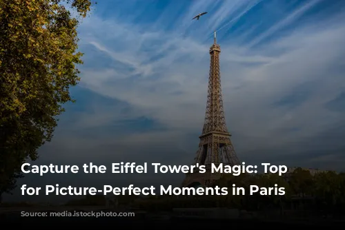 Capture the Eiffel Tower's Magic: Top Spots for Picture-Perfect Moments in Paris