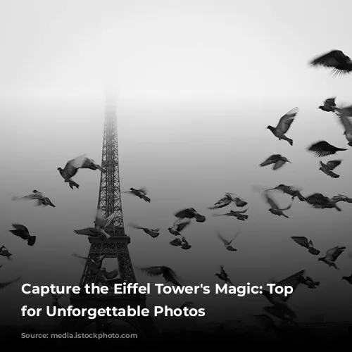 Capture the Eiffel Tower's Magic: Top Spots for Unforgettable Photos