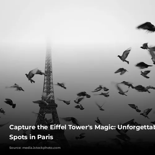 Capture the Eiffel Tower's Magic: Unforgettable Photo Spots in Paris