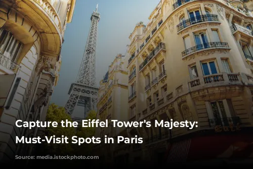 Capture the Eiffel Tower's Majesty: 5 Must-Visit Spots in Paris