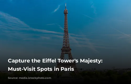 Capture the Eiffel Tower's Majesty: 5 Must-Visit Spots in Paris