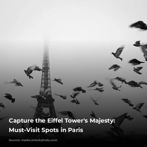 Capture the Eiffel Tower's Majesty: 5 Must-Visit Spots in Paris