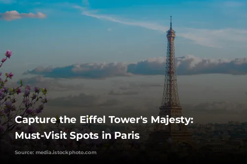 Capture the Eiffel Tower's Majesty: 5 Must-Visit Spots in Paris