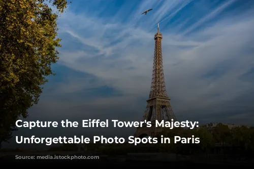 Capture the Eiffel Tower's Majesty: 5 Unforgettable Photo Spots in Paris