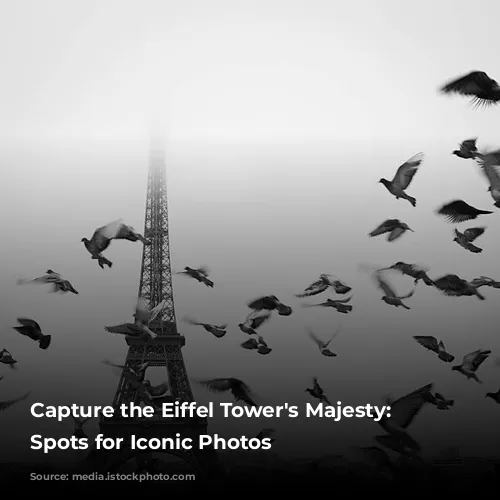 Capture the Eiffel Tower's Majesty: Top Spots for Iconic Photos