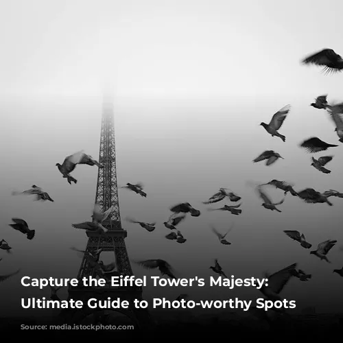 Capture the Eiffel Tower's Majesty: Your Ultimate Guide to Photo-worthy Spots