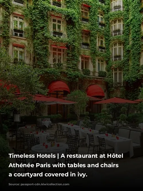 Timeless Hotels | A restaurant at Hôtel Plaza Athénée Paris with tables and chairs in a courtyard covered in ivy.