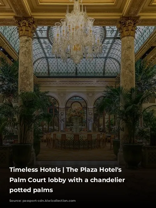 Timeless Hotels | The Plaza Hotel's ornate Palm Court lobby with a chandelier and potted palms