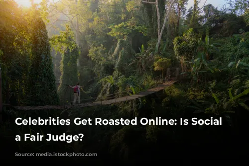 Celebrities Get Roasted Online: Is Social Media a Fair Judge?