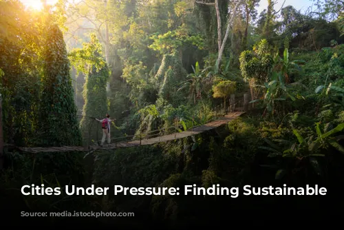 Cities Under Pressure: Finding Sustainable Solutions