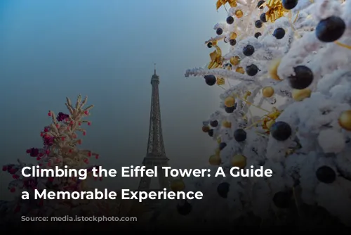 Climbing the Eiffel Tower: A Guide to a Memorable Experience