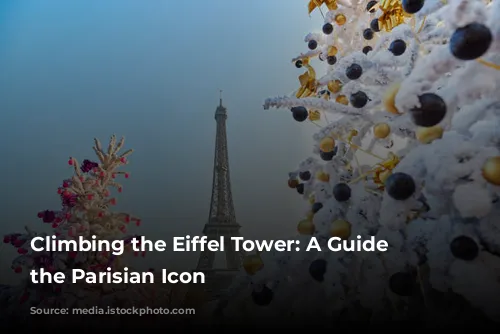 Climbing the Eiffel Tower: A Guide to the Parisian Icon