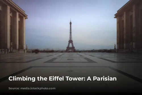 Climbing the Eiffel Tower: A Parisian Adventure