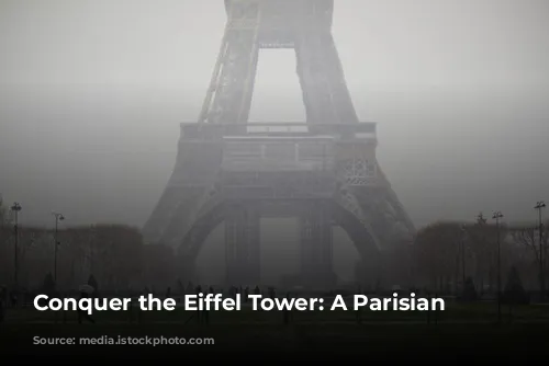 Conquer the Eiffel Tower: A Parisian Must-Do