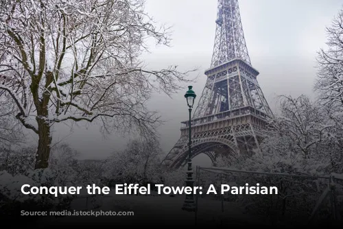 Conquer the Eiffel Tower: A Parisian Must-Do