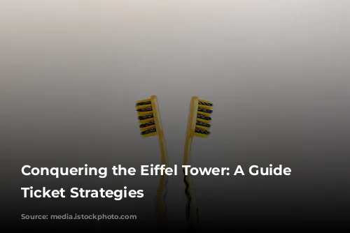 Conquering the Eiffel Tower: A Guide to Ticket Strategies