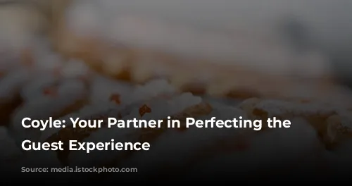 Coyle: Your Partner in Perfecting the Paris Guest Experience