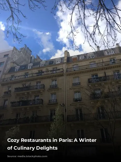 Cozy Restaurants in Paris: A Winter Wonderland of Culinary Delights