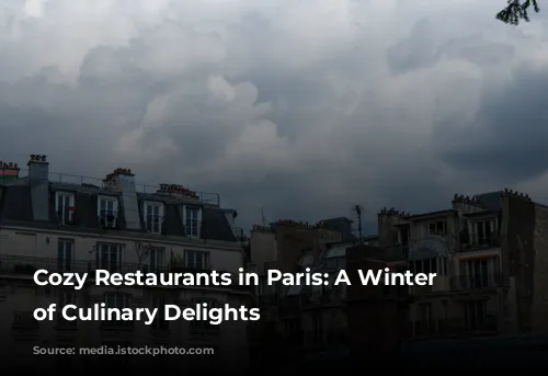 Cozy Restaurants in Paris: A Winter Wonderland of Culinary Delights