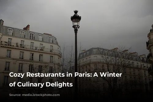 Cozy Restaurants in Paris: A Winter Wonderland of Culinary Delights