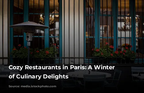 Cozy Restaurants in Paris: A Winter Wonderland of Culinary Delights